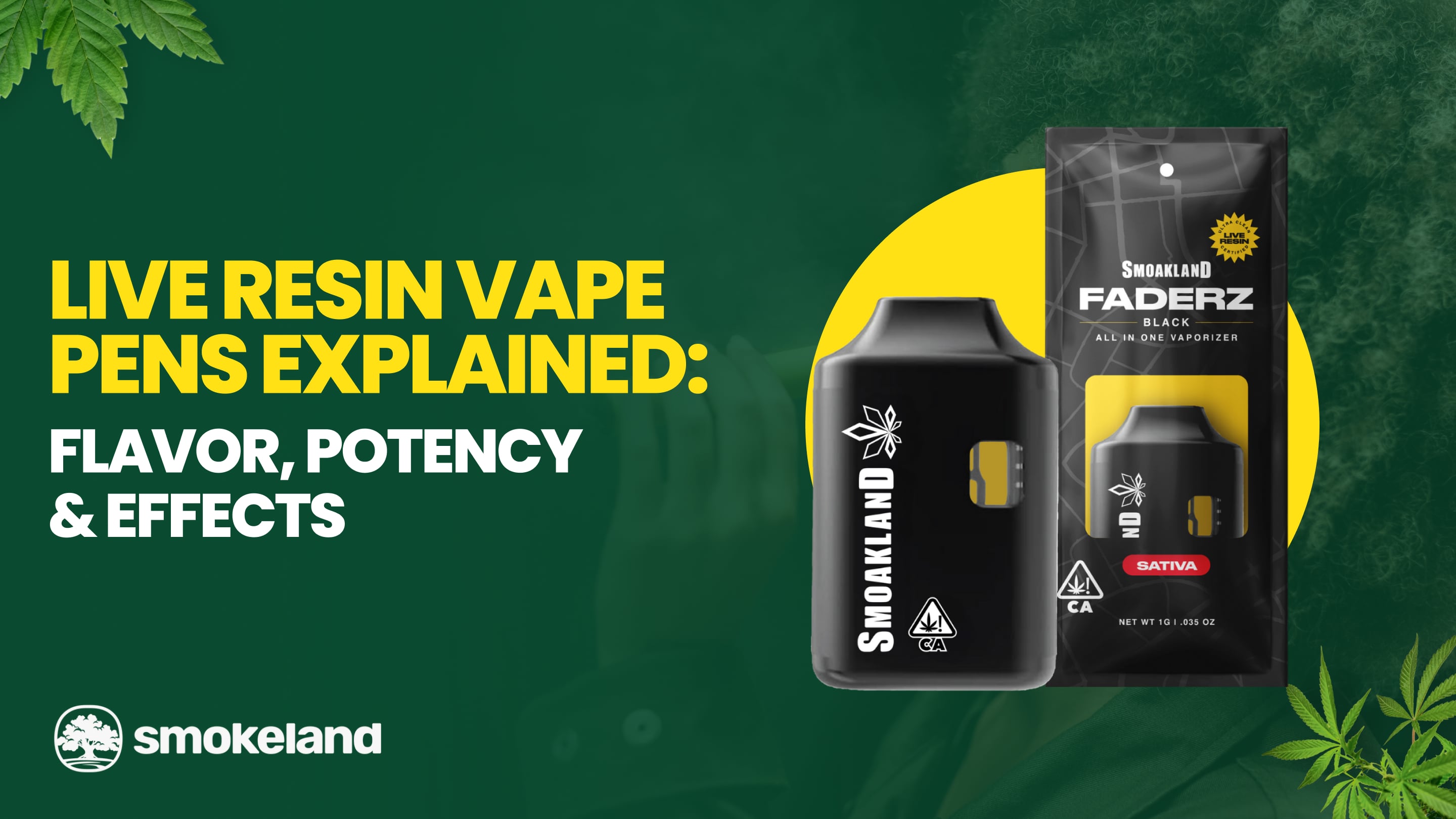 Live Resin Vape Pens Explained: Flavor, Potency & Effects