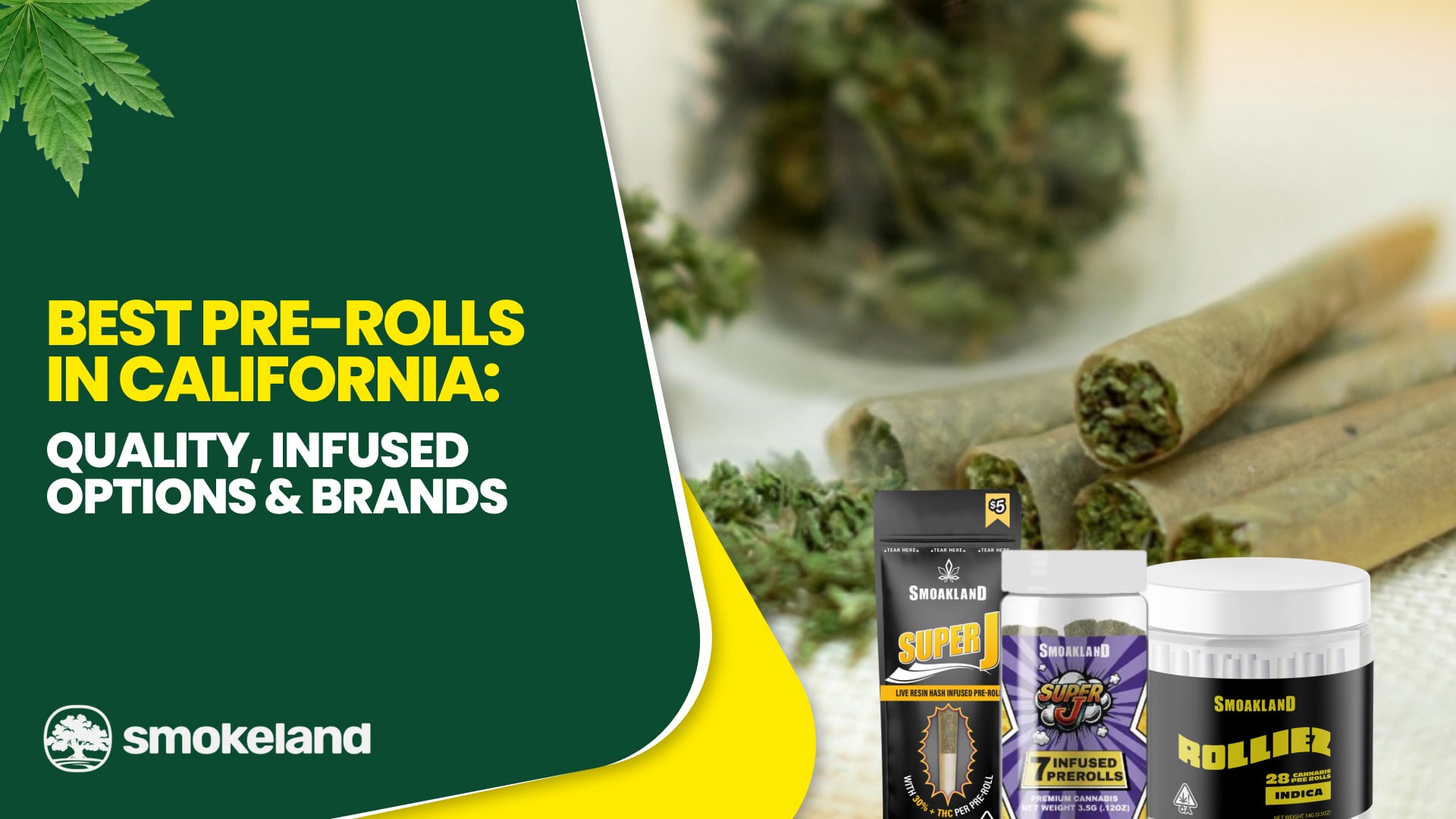 Best Pre-Rolls in California: Quality, Infused Options & Brands