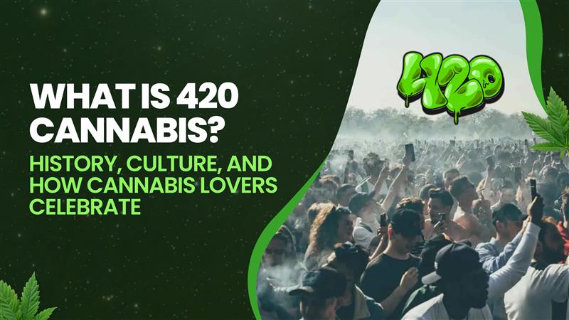 What Is 420 Cannabis? History, Culture, and How Cannabis Lovers Celebrate