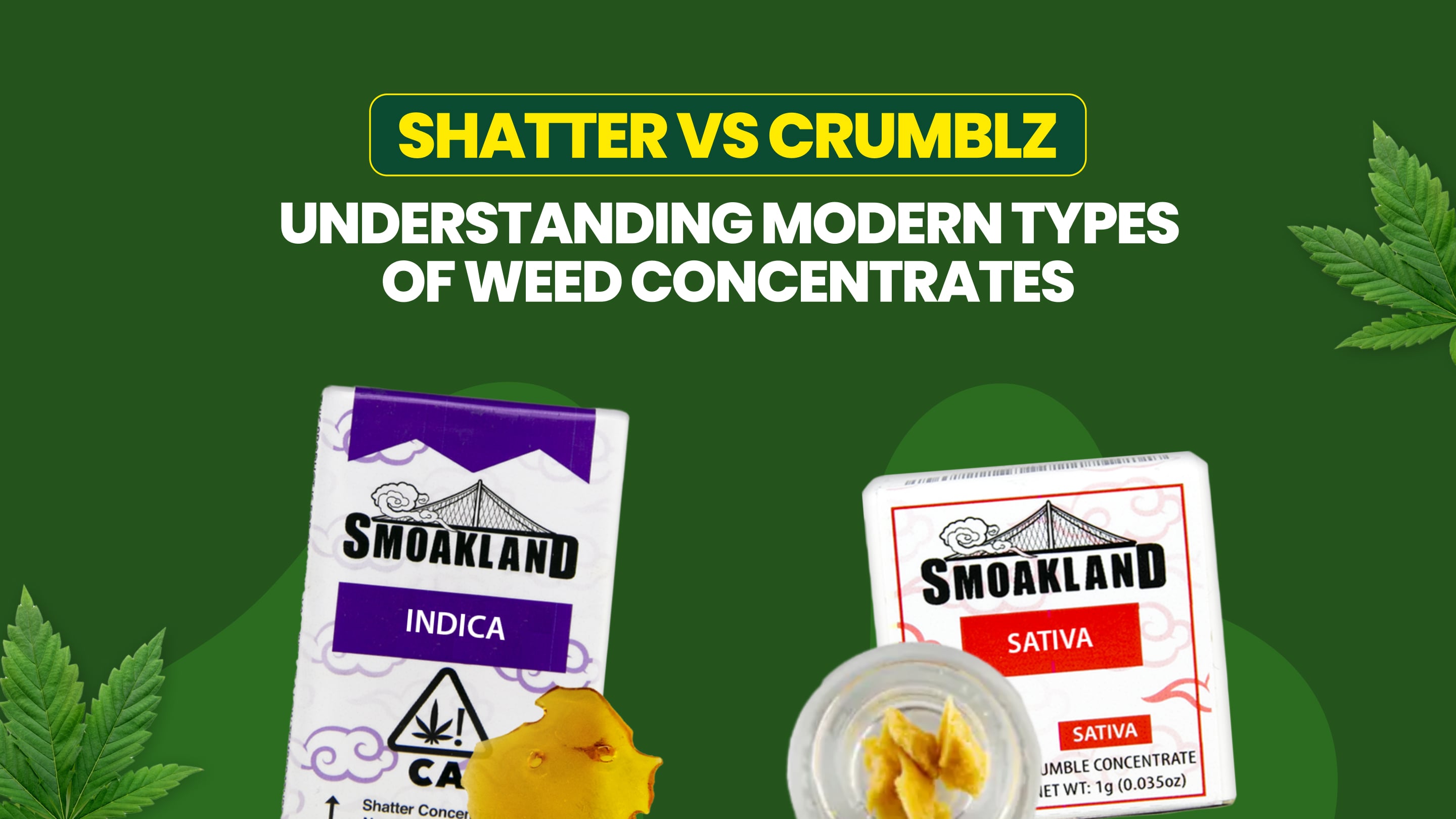 Shatter vs Crumblz: Understanding Modern Types of Weed Concentrates