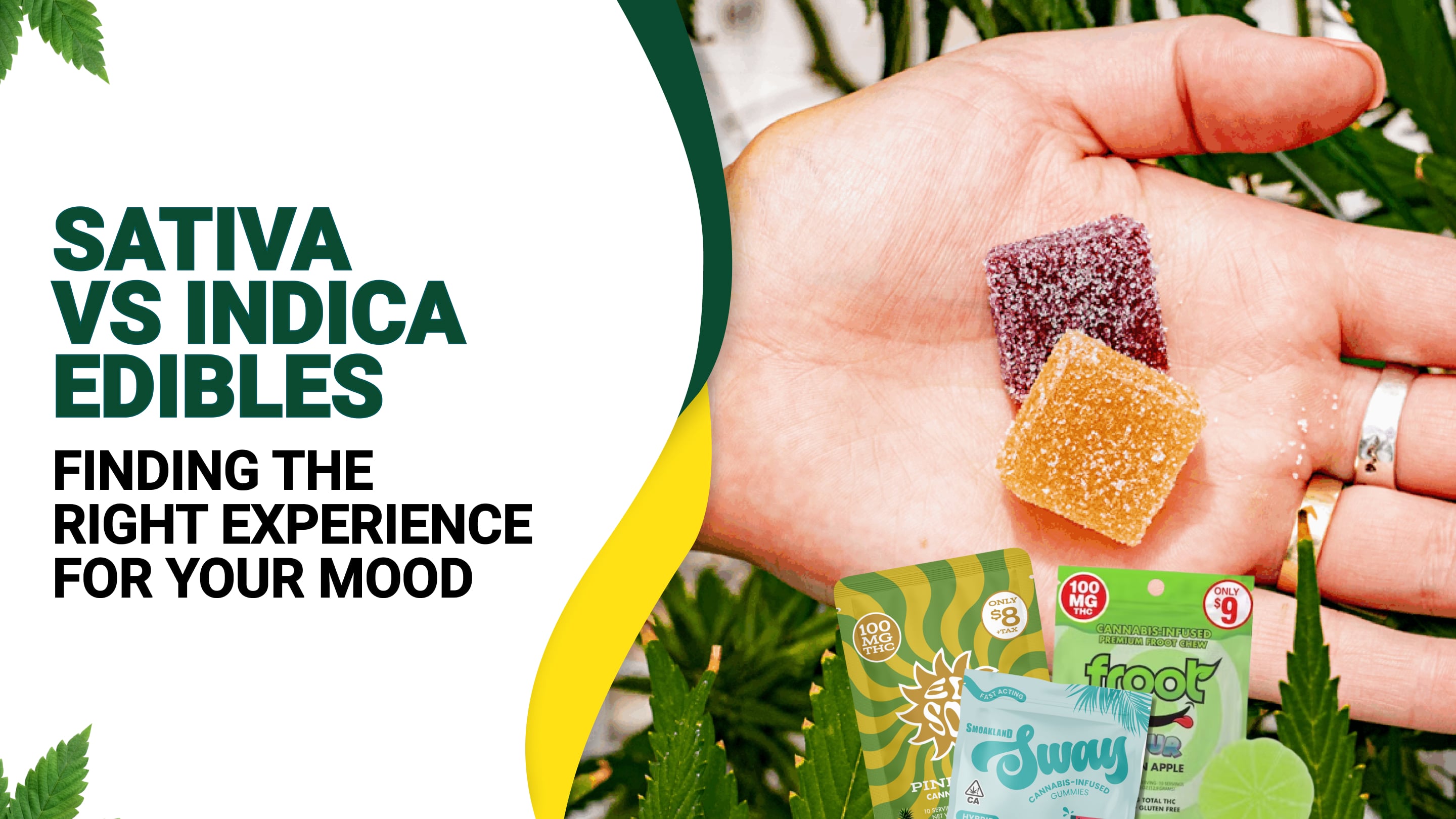Sativa vs. Indica Edibles: Finding the Right Experience for Your Mood