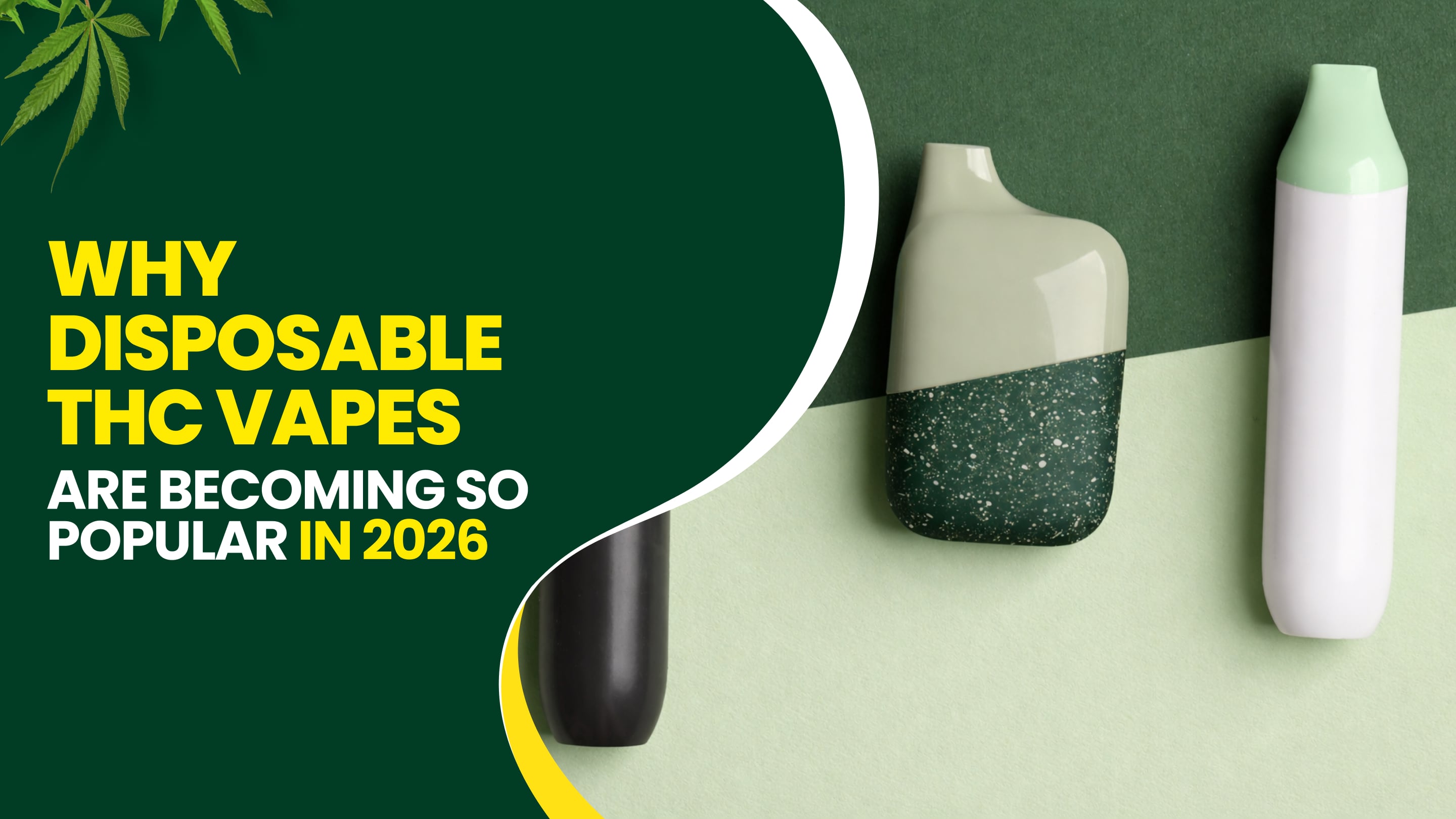 Why Disposable THC Vapes Are Becoming So Popular in 2026
