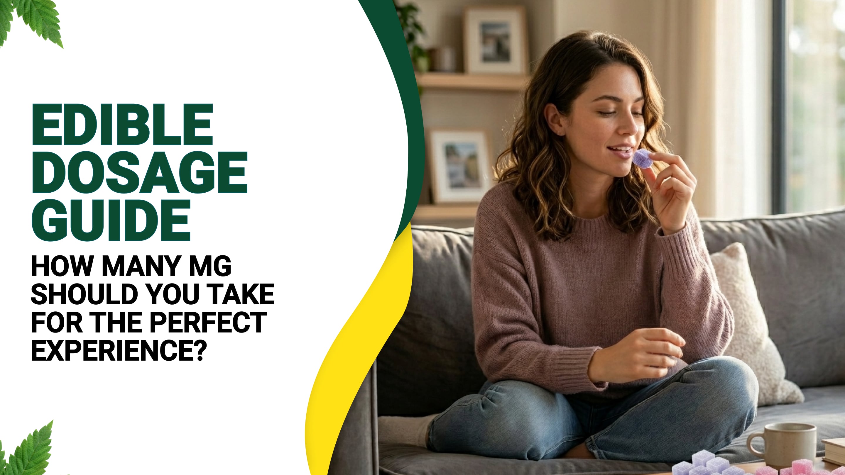 Edible Dosage Guide: How Many MG Should You Take for the Perfect Experience?