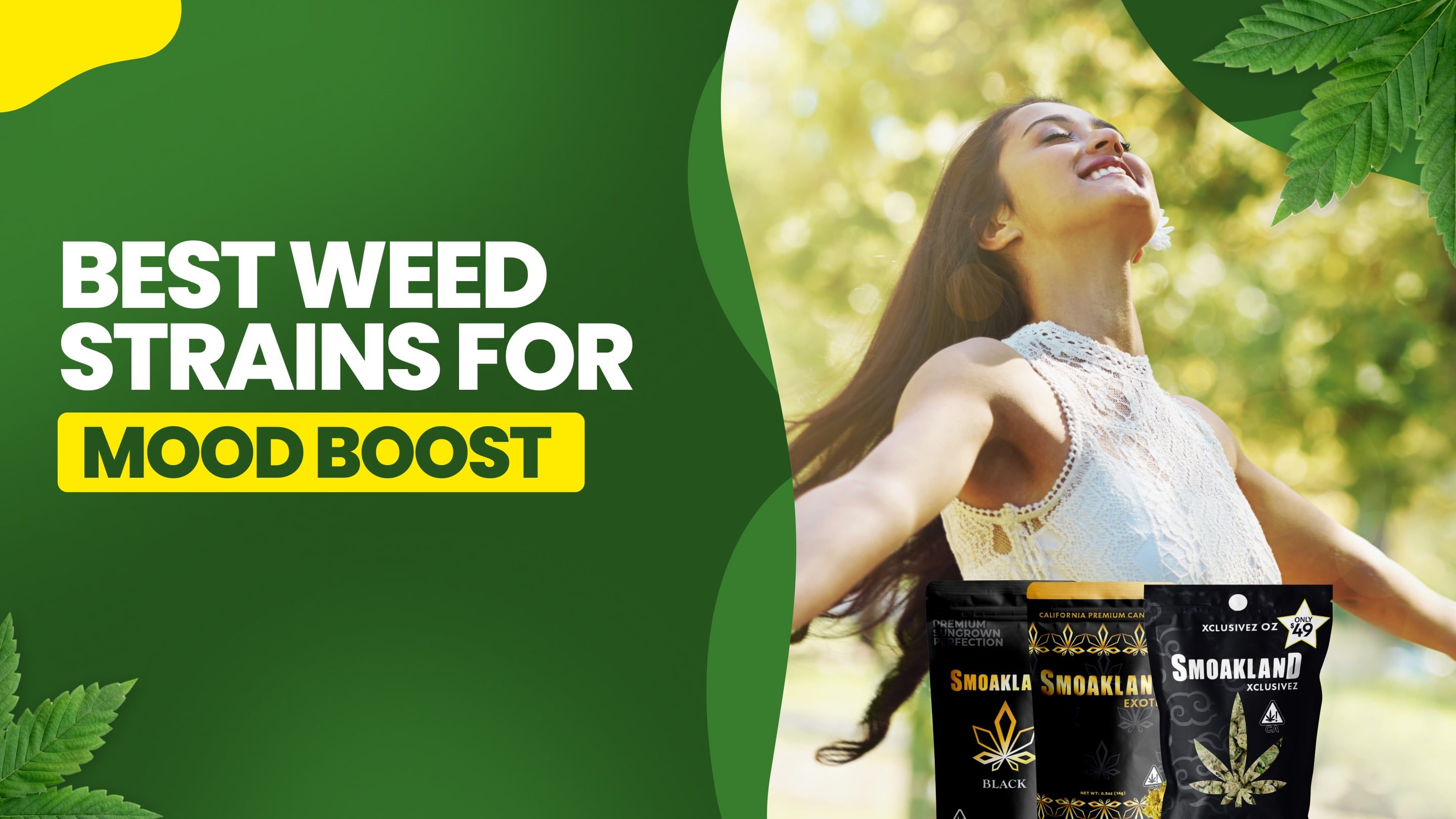 Best Weed Strains for Mood Boost
