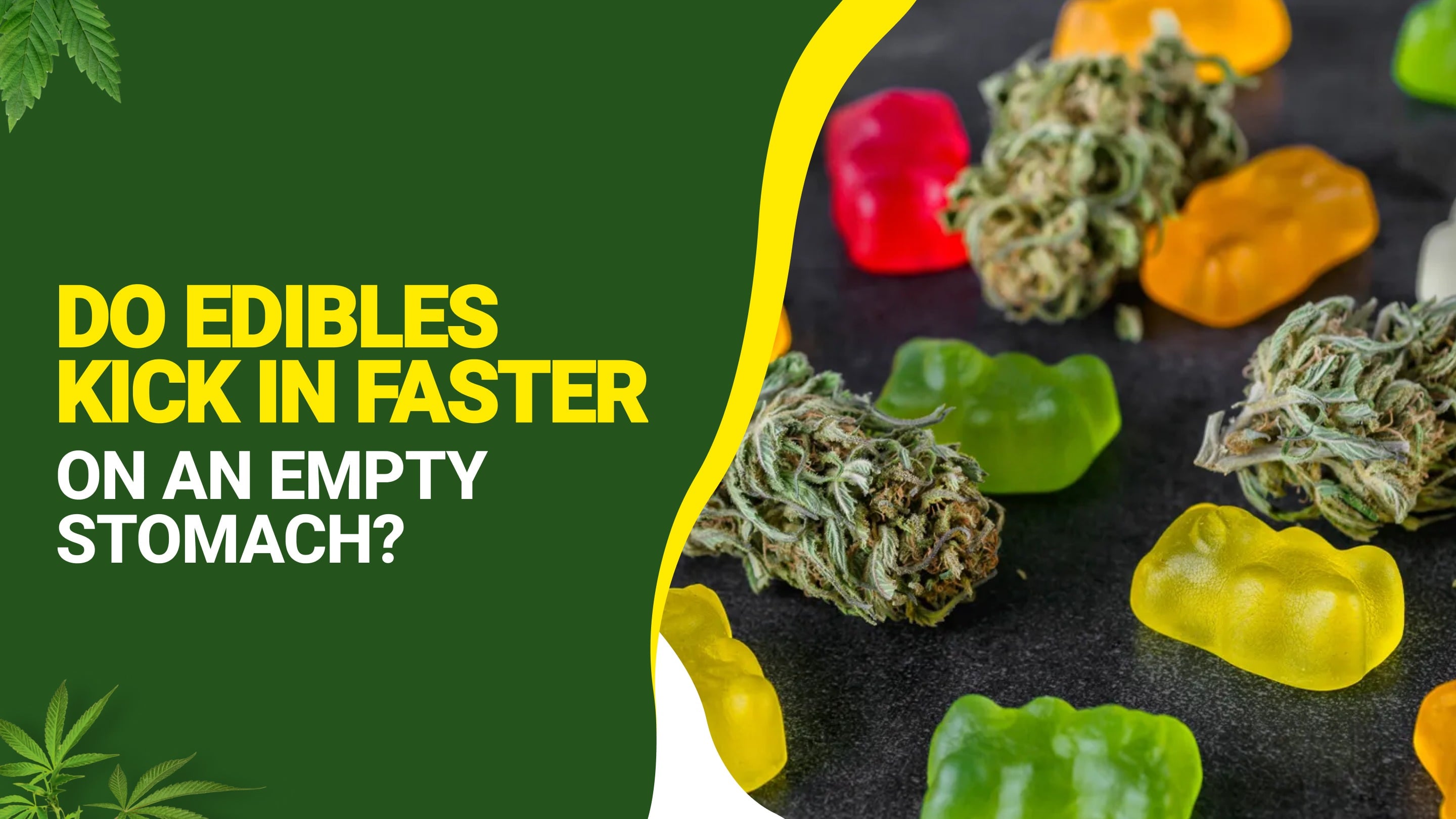 Do Edibles Kick in Faster on an Empty Stomach?