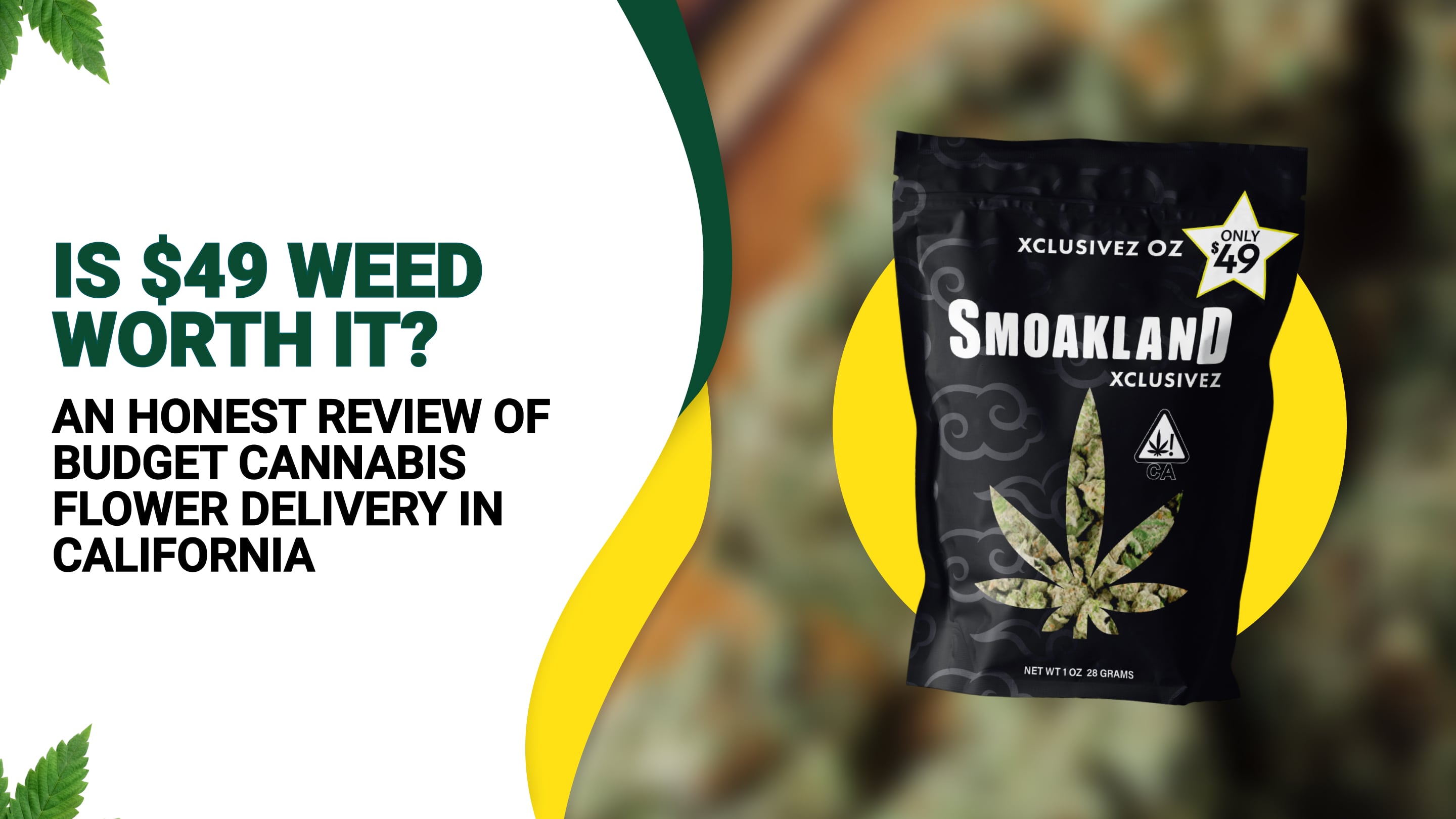Is $49 Weed Worth It? An Honest Review of Budget Cannabis Flower Delivery in California