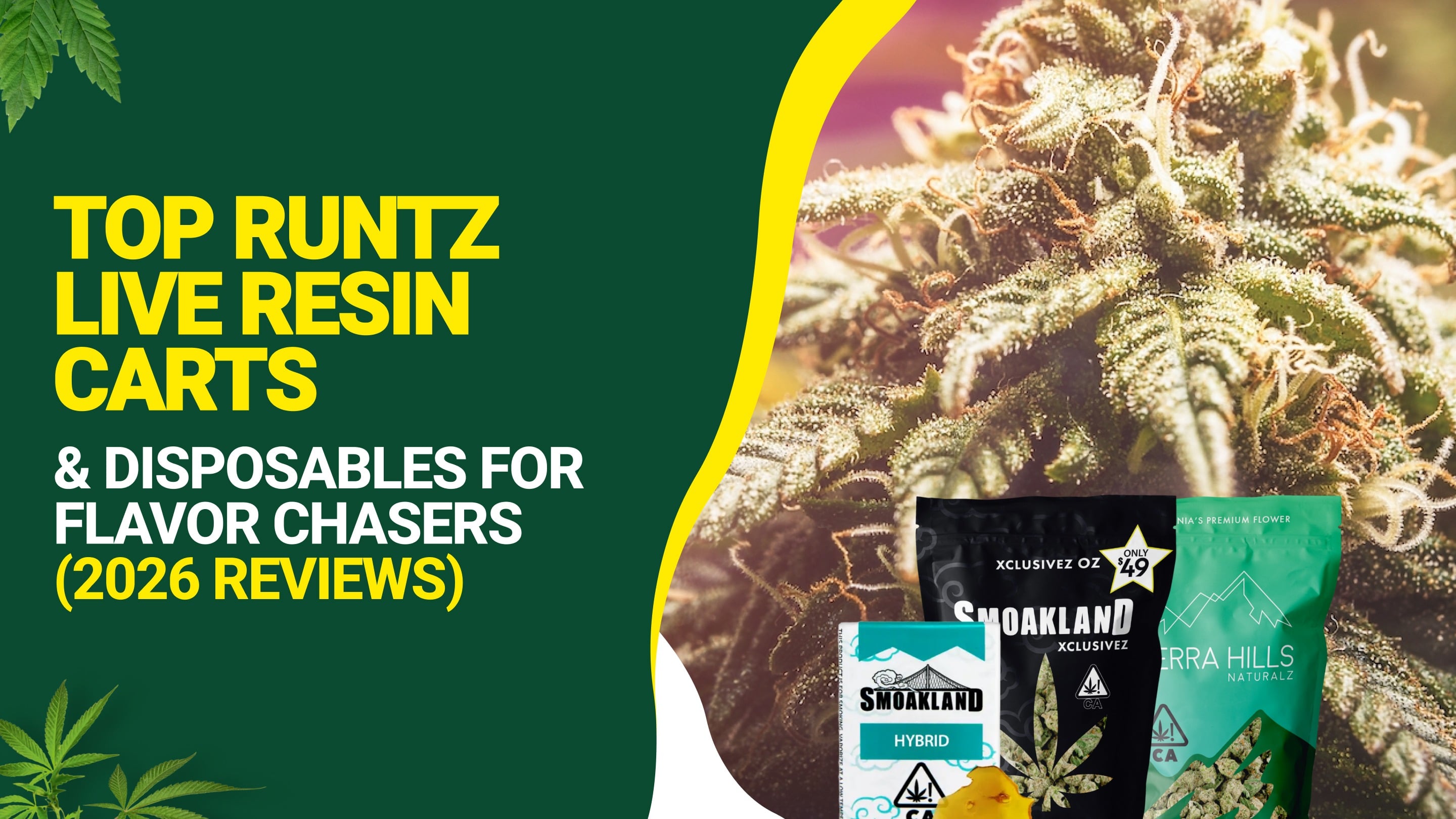 Top Runtz Live Resin Carts & Disposables for Flavor Chasers (2026 Reviews)