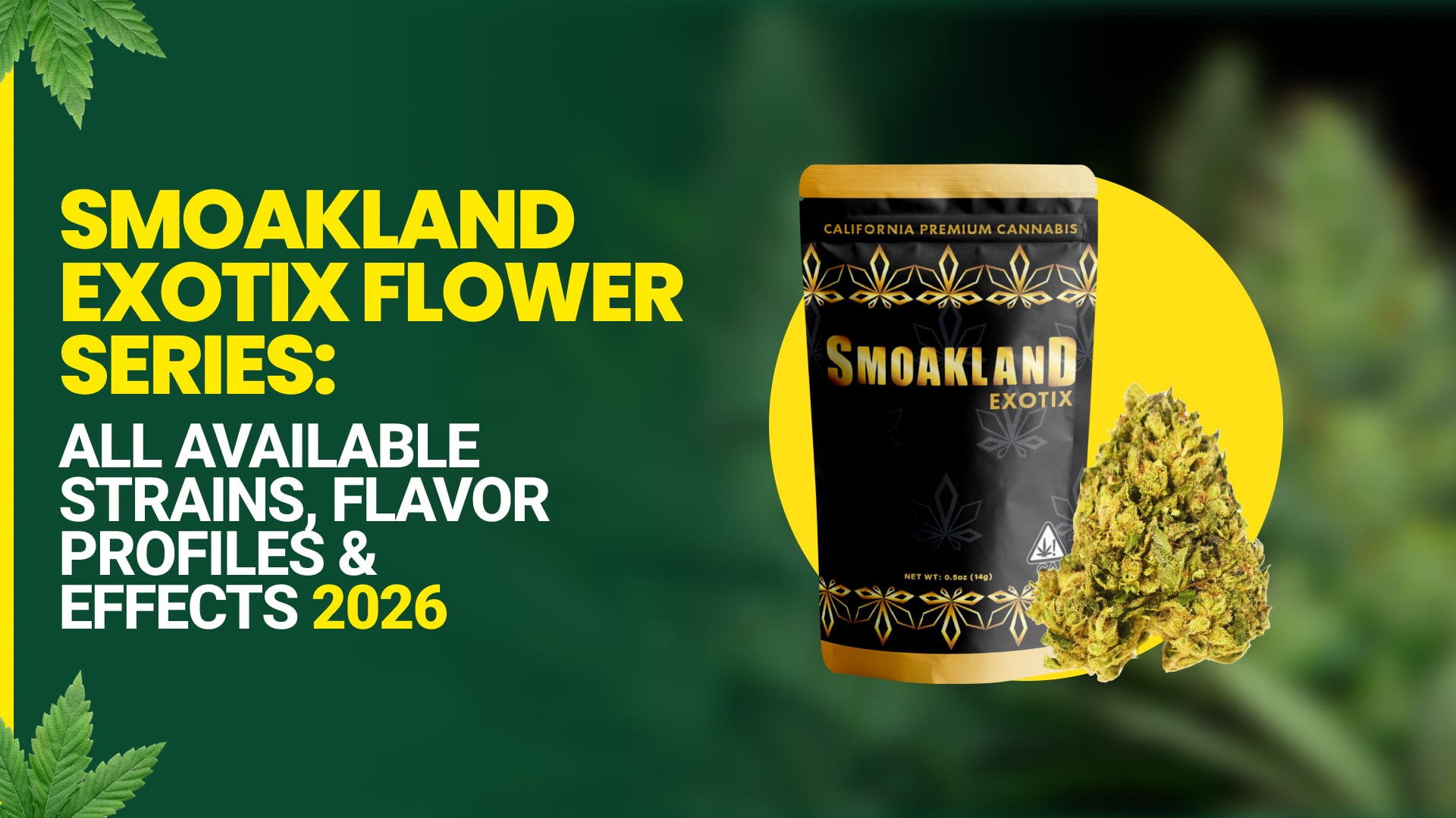 Smoakland Exotix Flower Series: All Available Strains, Flavor Profiles & Effects 2026