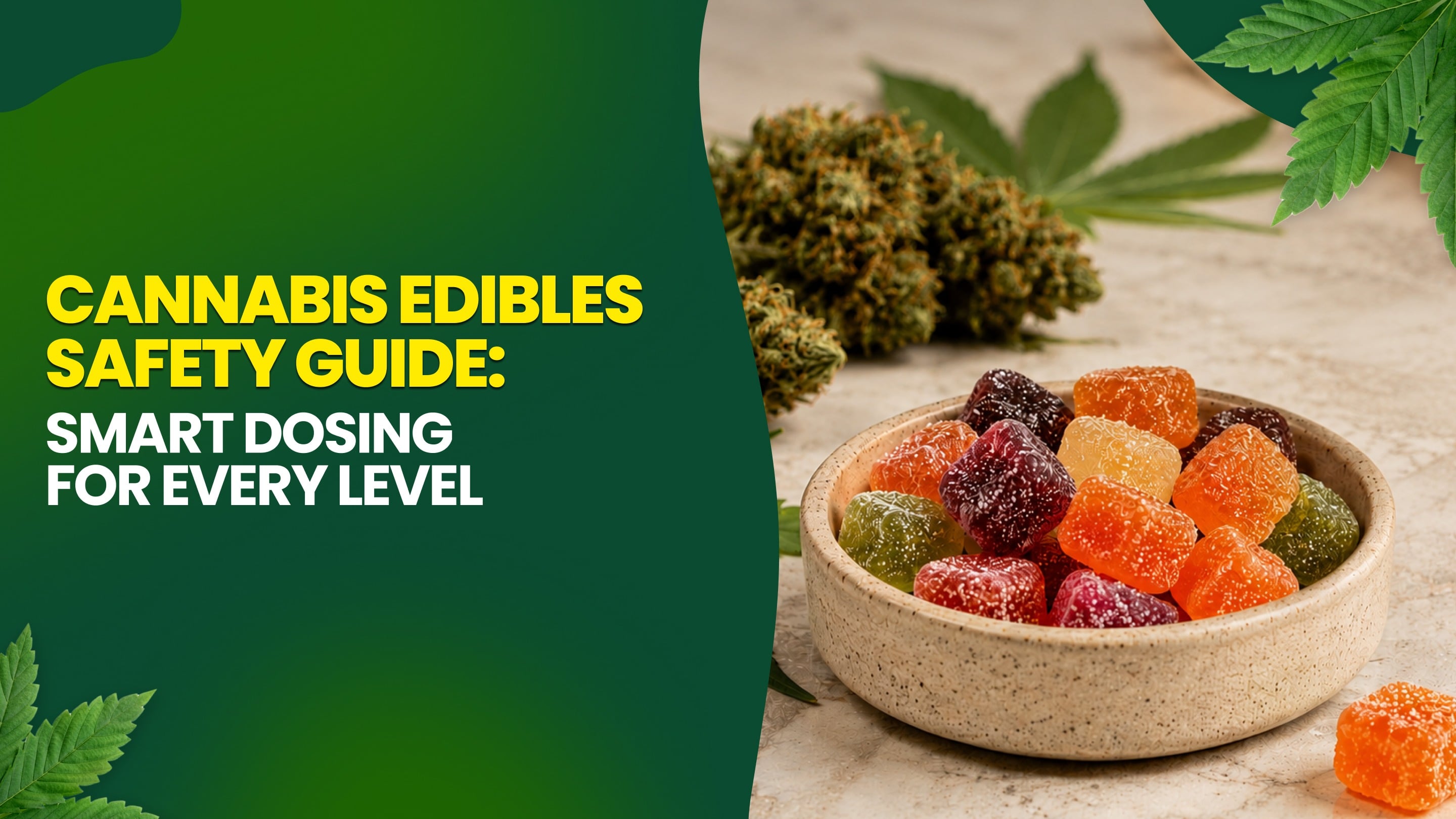 Cannabis Edibles Safety Guide: Smart Dosing for Every Level