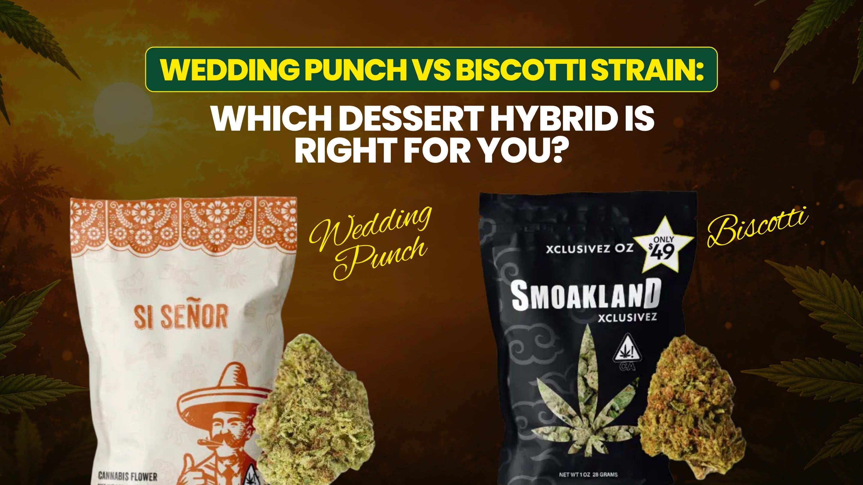 Wedding Punch vs Biscotti Strain: Which Dessert Hybrid Is Right for You?
