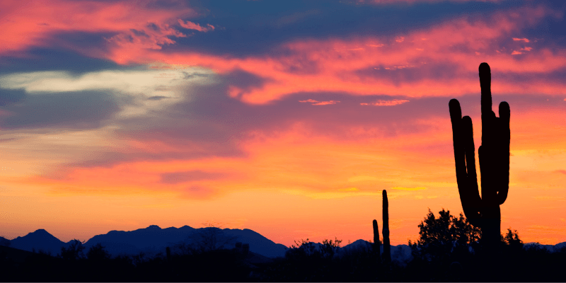 Si Señor background