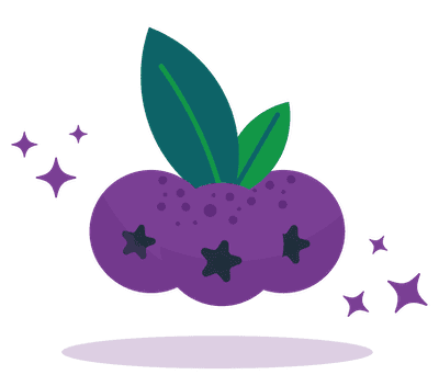 fruit icon