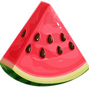 fruit icon