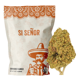 Si Senor Flower