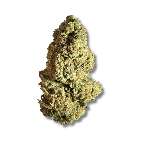 BLACK - Blue Rhino (H) - 14g