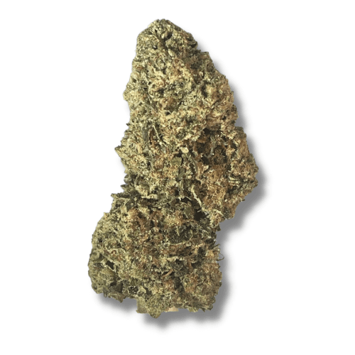 Exotix - Face OFF OG (I) - 14g