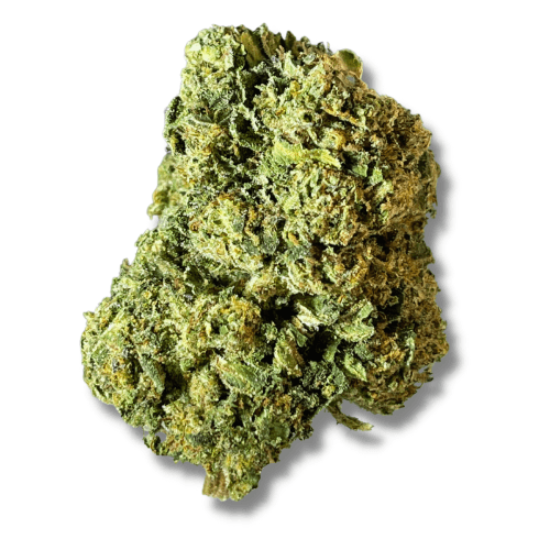 Exotix - Mendo Breath (I) - 14g