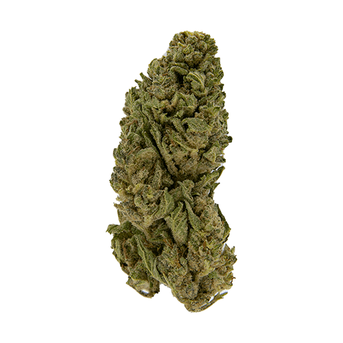 Exclusive - Town Cookies (H) - 28g