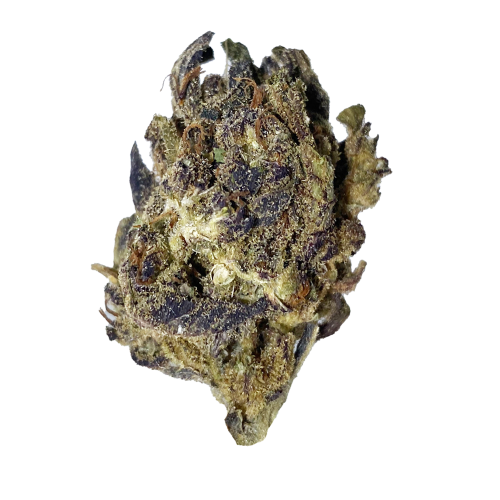 Exclusive - Purple Cookies (H) - 28g