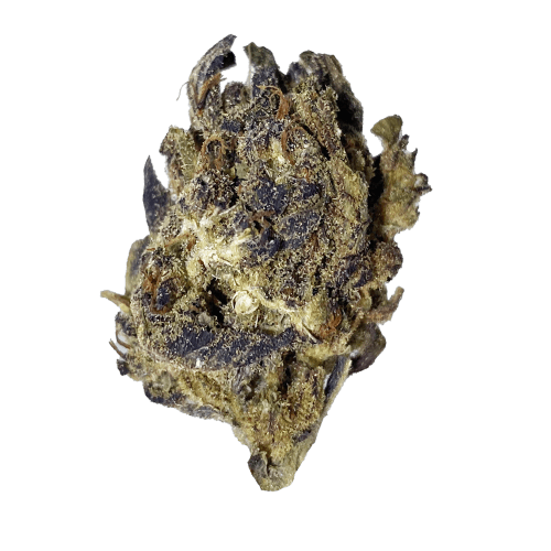 Exclusive - Purple Cookies (H) - 28g