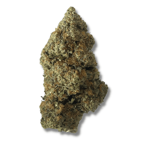 Exotix - White Gushers (H) - 14g