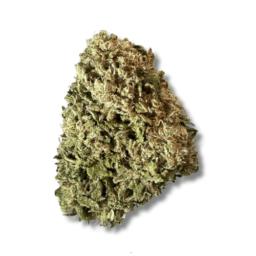 Exotix - White Runtz (H) - 14g