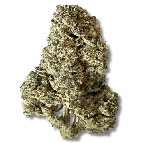 Sierra Hills - Top Gun (H) - 28g