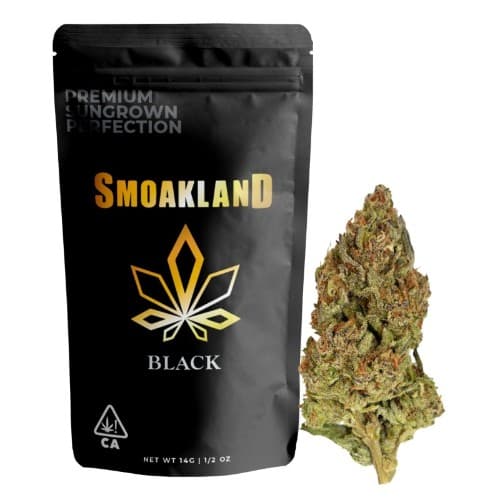 SpellCaster (S) - 14g Black