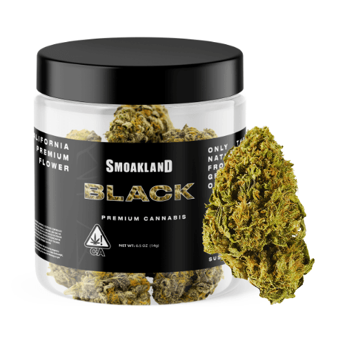 Black - Donny Burger (I) - 14g Jar