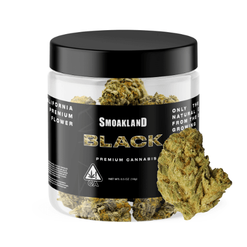 Black - Rainbow Belts (H) - 14g Jar