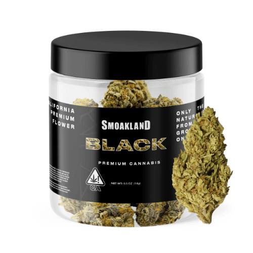 Black - Northern Lights (I) - 14g Jar