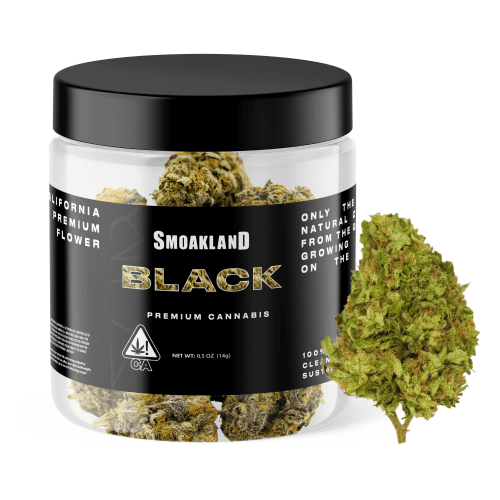 Black - Crenshaw Watermelon Runtz (I) - 14g Jar