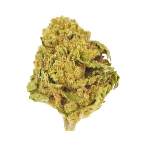 Lucy's - Berry Pie (S) - 3.5g