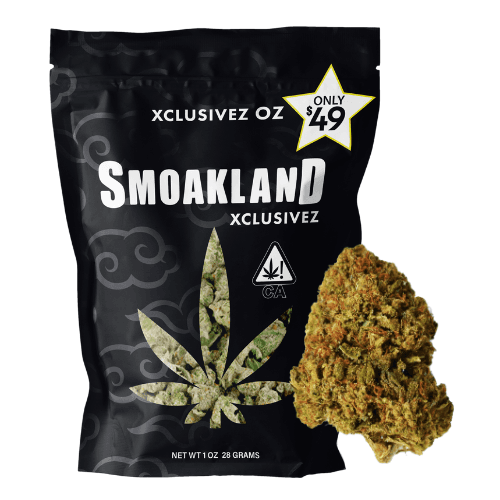 Xclusivez - Biscotti (I) - 28g