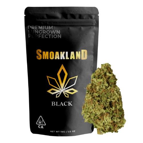 Black - Blue Dynamite (S) - 14g