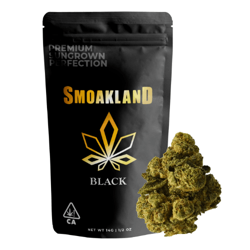 Black - Blackberry Punch (I) - 14g