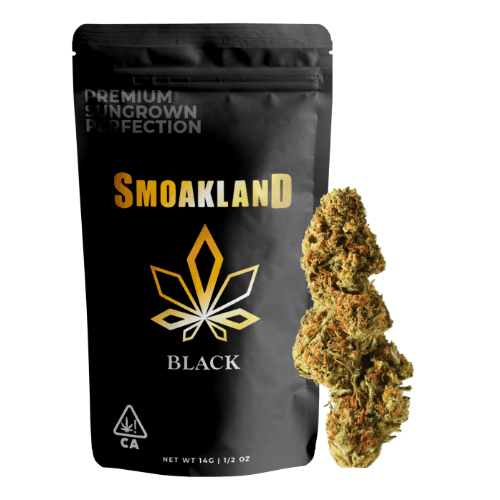 Black - Blue Dream (S) - 14g