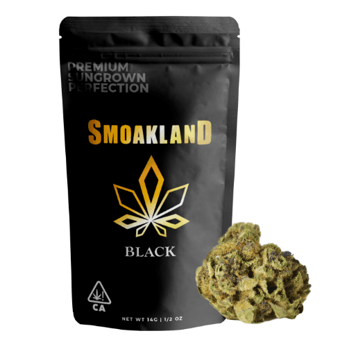 Black - Purple Candy Cane (S) - 14g