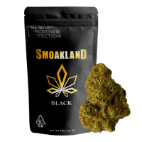 Sunset Sherbet (H) - 14g Black
