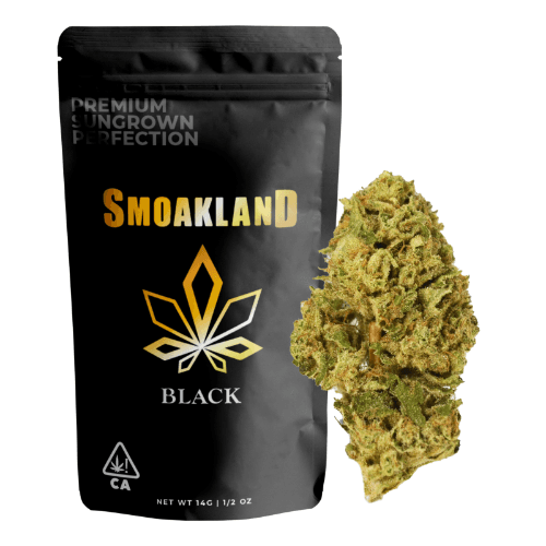 Black - Jamaican Dream (S) - 14g