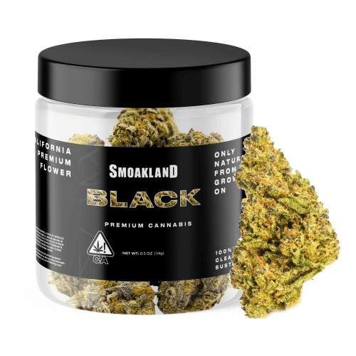 Black - Headband (H) - 14g Jar