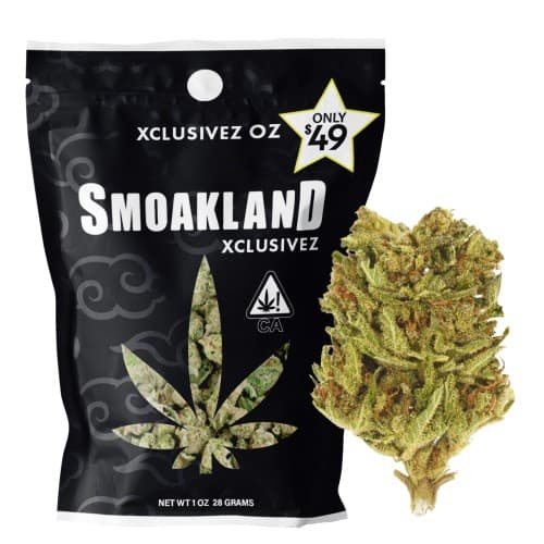 Xclusivez - Alien Dawg (H) - 28g