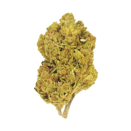 Lucy's - Blackberry Manstreak (H) - 14g