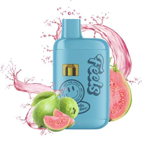 Feels - All in One Vape - Blue Guava Bliss (H) - 1g