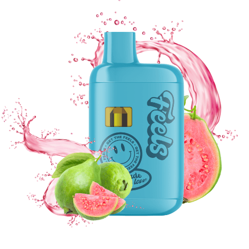 Feels - All in One Vape - Blue Guava Bliss (H) - 1g