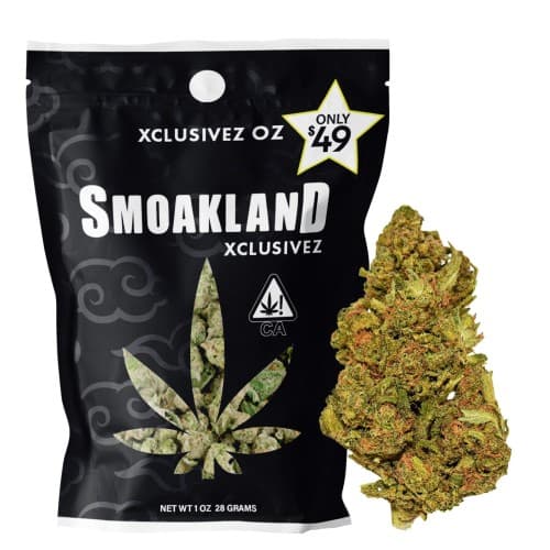 Xclusivez - GMO (H) - 28g