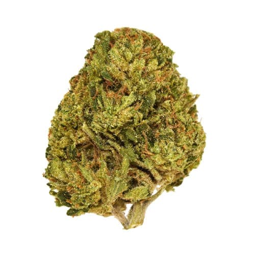 BLACK - Caffeine (S) - 14g