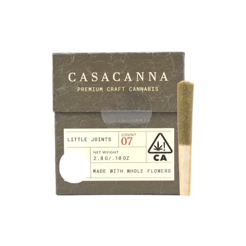 Casa Canna - Jack Herer 7pk Prerolls (S) - 2.8g