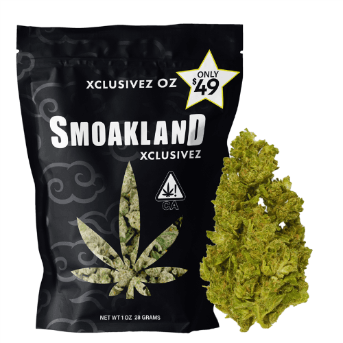 Xclusivez - Jet Fuel (S) - 28g