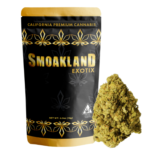 Exotix - Gas Station (S) - 14g